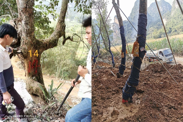 304am永利集团·(中国)有限公司官网
