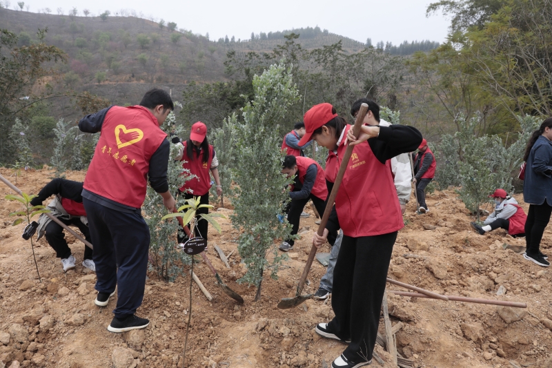 304am永利集团·(中国)有限公司官网