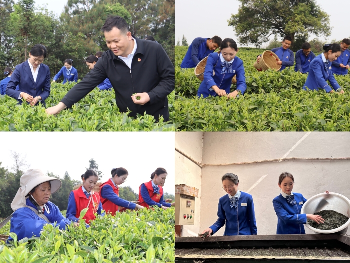 304am永利集团·(中国)有限公司官网